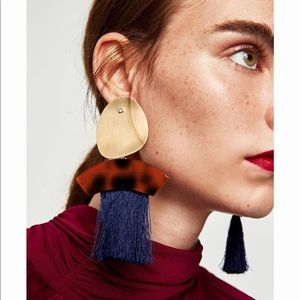 Zara Statement Earrings Fringe